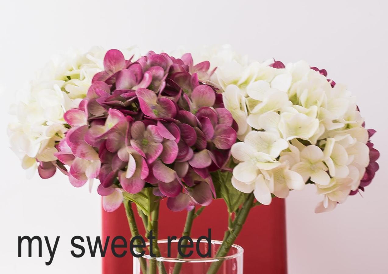 My Sweet Red Apartment 베니돔 외부 사진